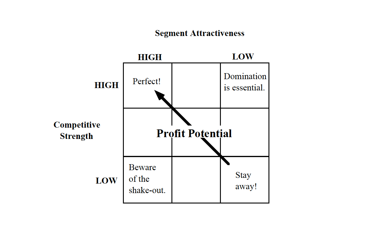 estructura stp, marketing estrategico